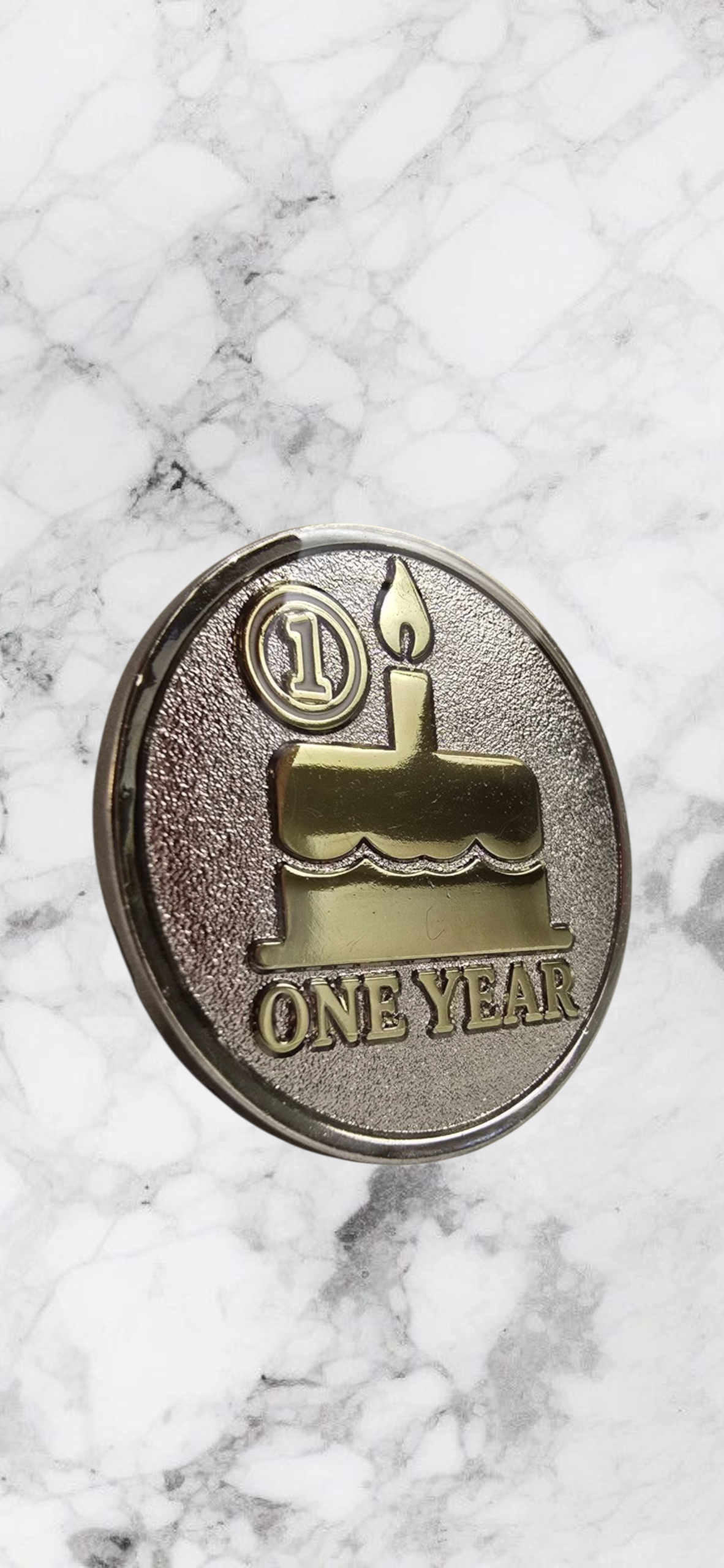 One Year Sober Coin - Birthday Chip - Cake Edition AA Medallion